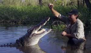 Il s'amuse avec un énorme crocodile... Courageux