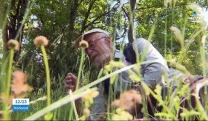 Aveyron : les promeneurs retrouvent les orchidées