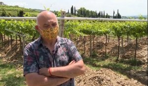 En Italie, sous les vignes, les mosaïques