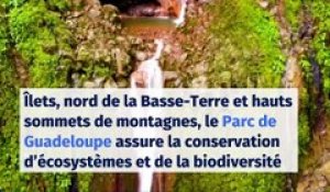 Vacances en France 2020 : découvrez les 11 parcs nationaux de notre pays