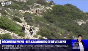 Déconfinement: les calanques se réveillent, mais attention à ne pas déranger la faune sauvage