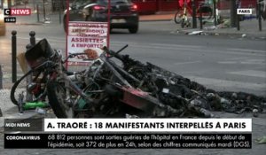 Adama Traoré : 18 manifestants interpellés à Paris
