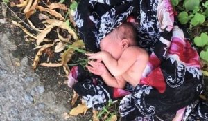 Thaïlande : abandonné le long d'une route, un nourrisson sauvé par un expatrié américain