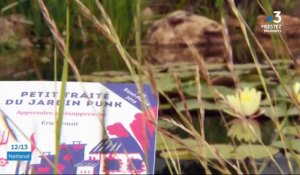 Yonne : à la découverte d'un "jardin punk"