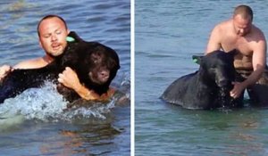 En Floride, un homme sauve un ours noir de 200 kilos en train de se noyer