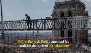 Notre-Dame de Paris : comment les cordistes démontent l'échafaudage