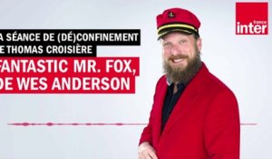 Fantastic Mister Fox - La séance de (dé)confinement de Thomas Croisière