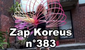 Zap Koreus n° 383