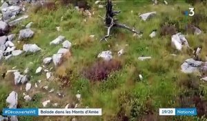 Bretagne : zoom sur les Monts d'Arrée
