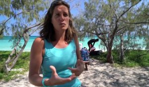 Nouvelle-Calédonie : L'écho du récif
