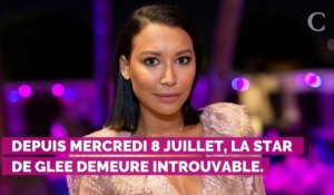 Naya Rivera portée disparue : qui est Ryan Dorsey, son ex-mari et le père de son fils ?