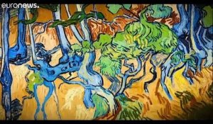 Le secret du dernier tableau de Van Gogh révélé
