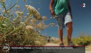 Bouches-du-Rhône : Les Goudes, le bout du monde dans la cité phocéenne