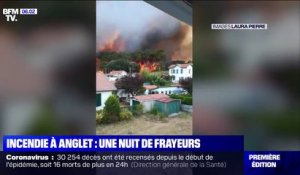 Un incendie à Anglet ravage la forêt de Chiberta dans les Pyrénées-Atlantiques