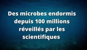Des microbes endormis depuis 100 millions d'années réveillés par les scientifiques