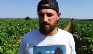 Fabien Tournayre va bientôt irriguer une partie de ses vignes à Saint-Just-d'Ardèche