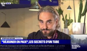 Les secrets des tubes: "Déjeuner en paix" de Stephan Eicher