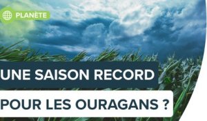 Ouragans dans l’Atlantique : une saison record en 2020 ? | Futura