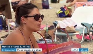 Environnement : interdiction de fumer sur les plages de Marseille