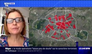 Masques à Paris: selon Anne Souyris, la nouvelle carte par zones est "plus parlante"