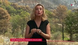 Vaucluse : 100 hectares partis en fumée dans un incendie