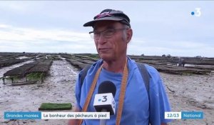 Charente : les pêcheurs à pied profitent des grandes marées