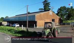 Gastronomie : à la découverte du salers d’Auvergne