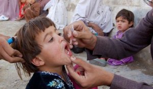 Selon l'OMS, la « polio » serait éradiquée en Afrique mais encore présente en Afghanistan et au Pakistan