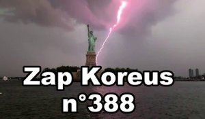 Zap Koreus n°388