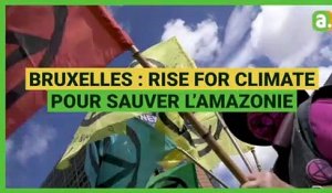 L'Avenir - Manifestation pour l'Amazonie à Bruxelles