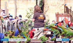 Animaux : le Bioparc de Doué-la-Fontaine, un zoo nouvelle génération