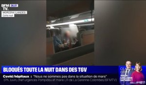 Des voyageurs se retrouvent bloqués toute la nuit dans des TGV