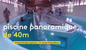Normandie : un centre de balnéothérapie pour chevaux inauguré dans le Calvados