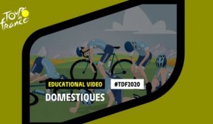 #TDF2020 The role of the domestiques