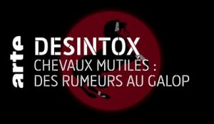 Chevaux mutilés : des rumeurs au galop | 07/09/2020 | Désintox | ARTE