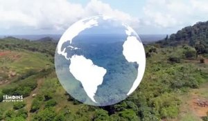Guyane : Kourou