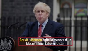 Brexit : Johnson agite la menace d'un blocus alimentaire en Ulster