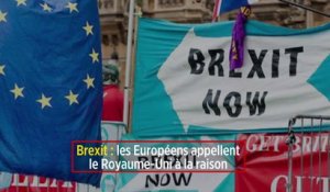 Brexit : les Européens appellent le Royaume-Uni à la raison