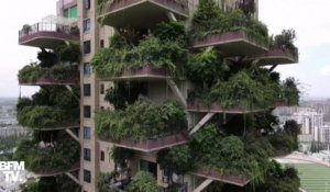 En Chine, des bâtiments résidentiels se retrouvent envahis par leurs propres plantes