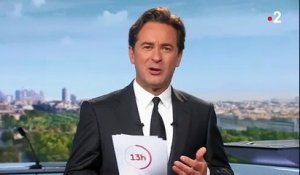 Le message de Nathanaël de Rincquesen adressé ce midi sur France 2 à Marie-Sophie Lacarrau qui part sur TF1 pour présenter le 13h - VIDEO