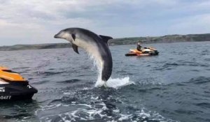 Ces jet-skieurs ont été surpris par le spectacle d'un dauphin sautant à côté d'eux dans la mer