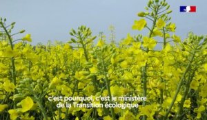 CarbuRe : optimiser la gestion des flux de biocarburant