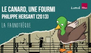 Philippe Hersant : Le canard, une fourmi - La Faunothèque