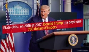 États-Unis : en 2016 et 2017, Donald Trump n'a payé que 750 dollars d'impôts
