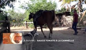 La Réunion : Manou le cowboy