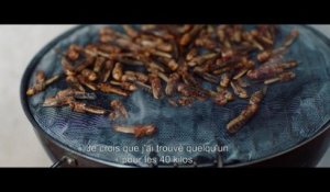 EXCLU - Découvrez la Bande Annonce de "La nuée", le premier film de Just Philippot