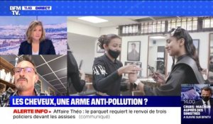 Les cheveux, une arme anti-pollution? - BFMTV répond à vos questions