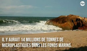 14 millions de tonnes de microplastiques polluent le fond des océans, selon une étude