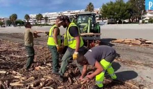 Tempête Alex : «Mon fils a retrouvé un élément de notre chalet sur la plage»