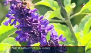 Découverte : le jardin botanique de Nancy préserve la flore mondiale